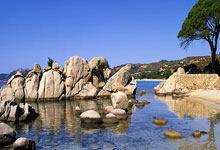 开云官网-拉沃尔杯轻取法网，西西帕斯惊艳四座